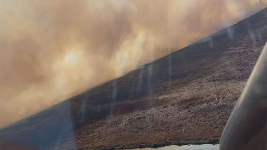 El gobierno de Entre Ríos reconoció que ha identificado a los responsables de los últimos incendios en el Delta. El gobierno de Entre Ríos reconoció que ha identificado a los responsables de los últimos incendios en el Delta.