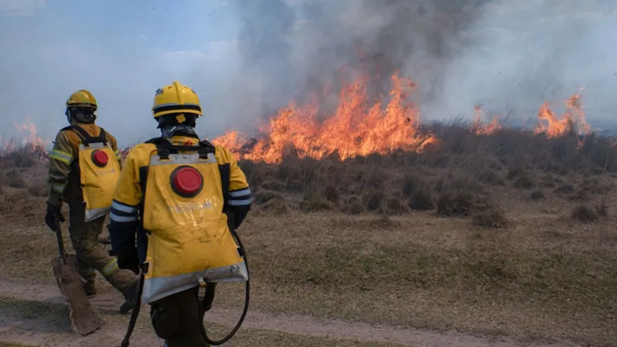 Imagen de archivo de brigadistas combatiendo los incendios en la zona del Delta del río Paraná. Una tragedia que no tiene fin. Imagen de archivo de brigadistas combatiendo los incendios en la zona del Delta del río Paraná. Una tragedia que no tiene fin.