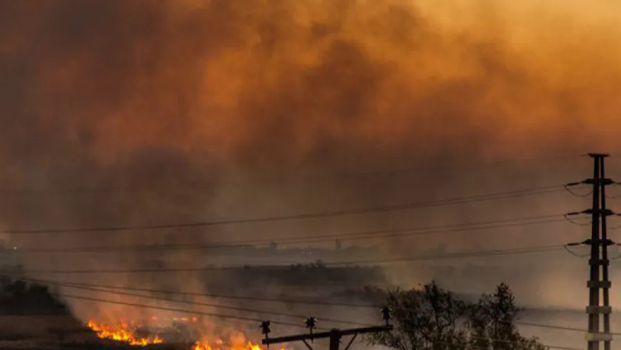 incendios islas Victoria-Rosario incendios islas Victoria-Rosario