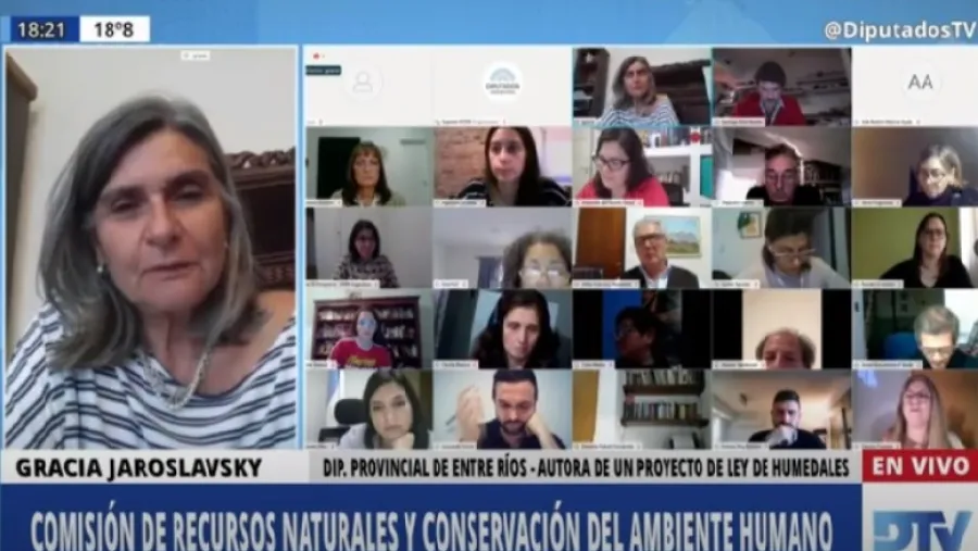 En el Congreso, Jaroslavsky instó a “federalizar” el debate sobre la ley de Humedales En el Congreso, Jaroslavsky instó a “federalizar” el debate sobre la ley de Humedales