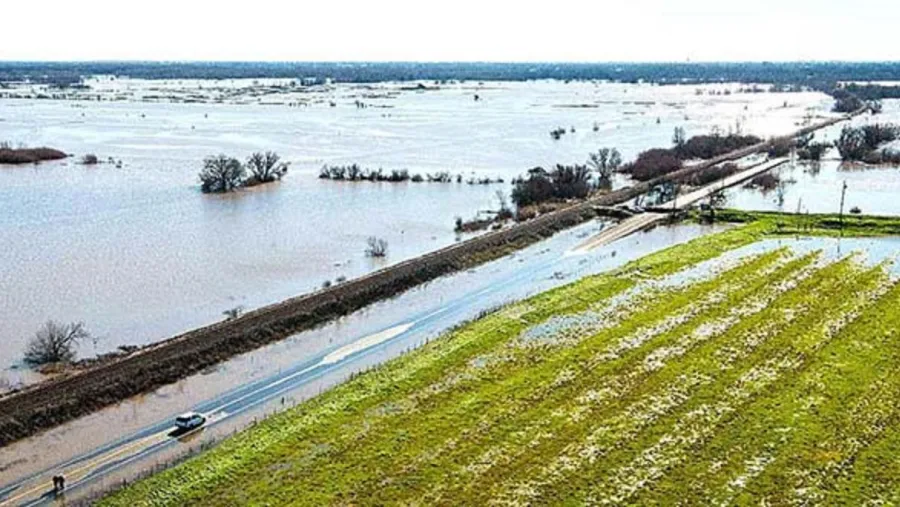 La Niña La Niña