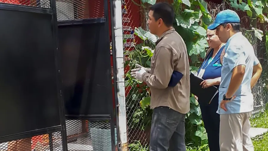 Realizan acciones en terreno ante un caso de leishmaniasis visceral en Concordia Realizan acciones en terreno ante un caso de leishmaniasis visceral en Concordia