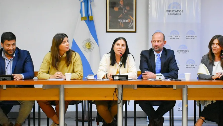 Gabriela Mabel Lena presidirá la Comisión de Comercio de la Cámara de Diputados. Gabriela Mabel Lena presidirá la Comisión de Comercio de la Cámara de Diputados.