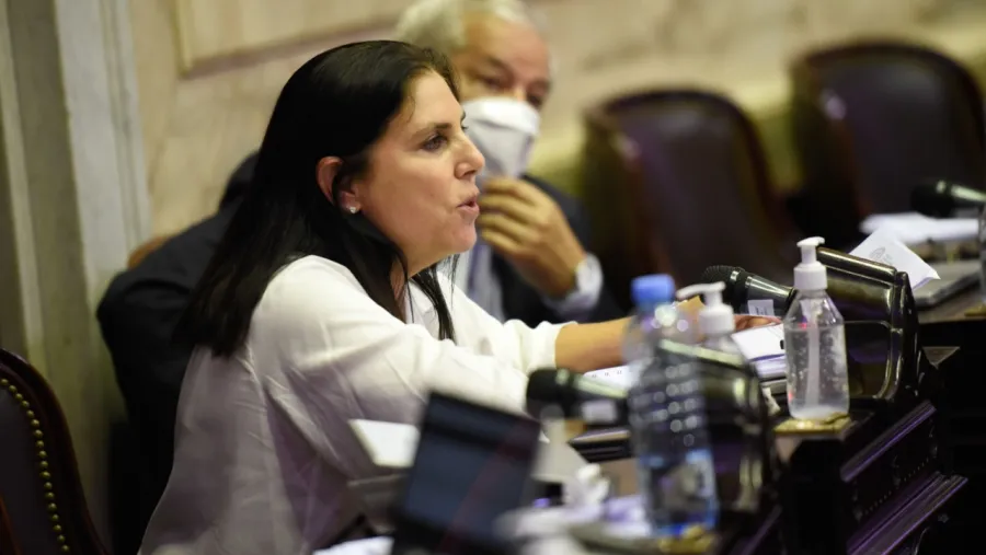 Lena insistió en derogar la facultad del Ejecutivo para gravar exportaciones Lena insistió en derogar la facultad del Ejecutivo para gravar exportaciones
