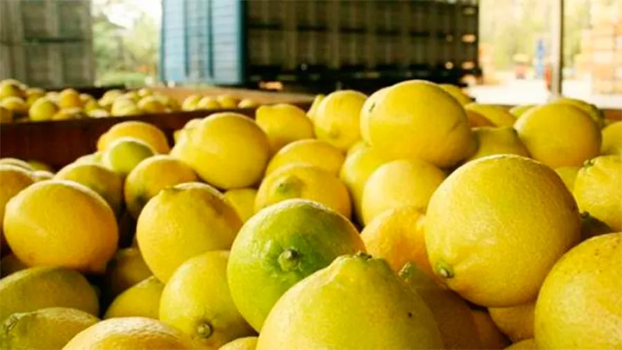 limones limones