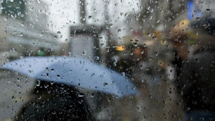 Lluvia Lluvia