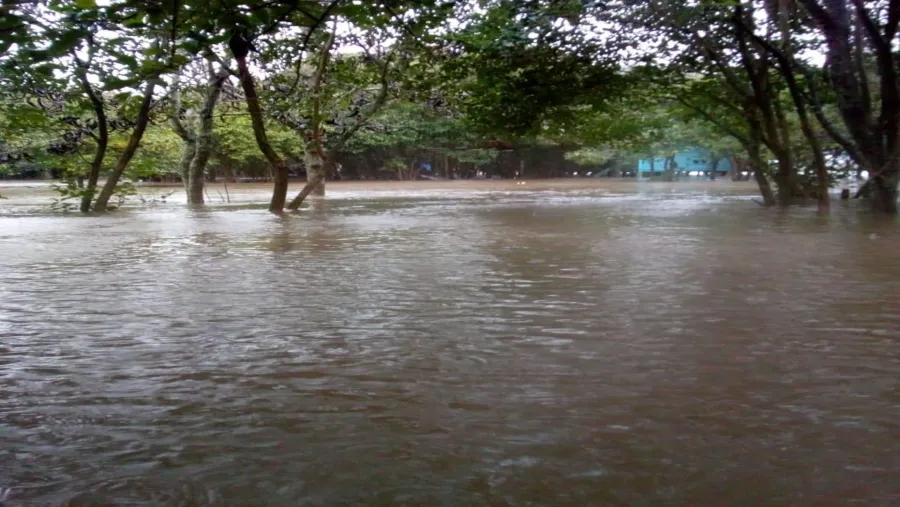 Lluvias Lluvias