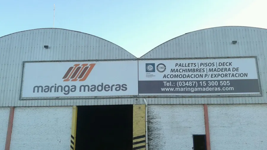 maringa maringa