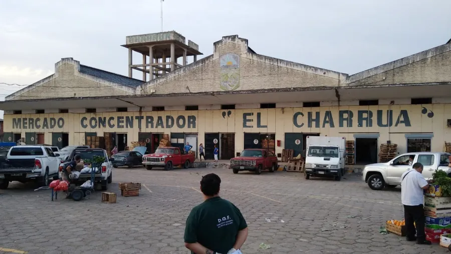 Mercado "El Charrúa" Mercado "El Charrúa"