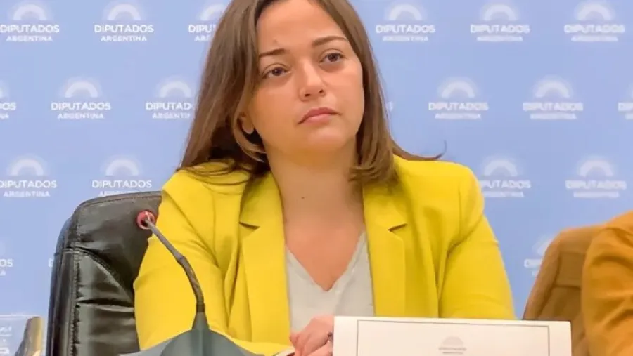 Massa impulsa a Cecilia Moreau como su sucesora al frente de la Cámara de Diputados Massa impulsa a Cecilia Moreau como su sucesora al frente de la Cámara de Diputados