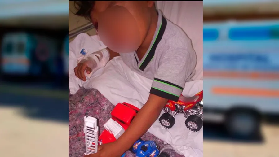 nene mordido por un perro nene mordido por un perro