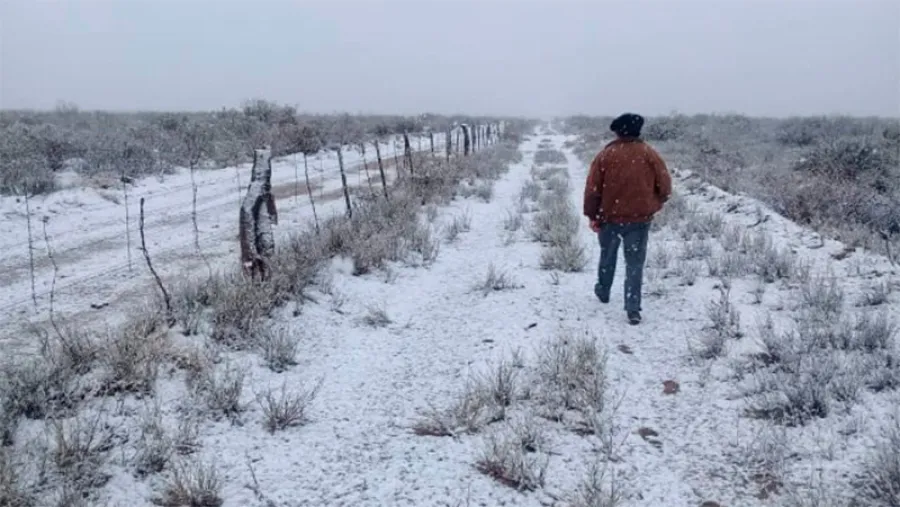 nevada nevada