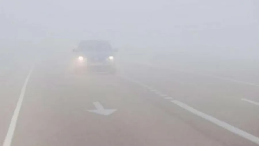 Niebla Niebla
