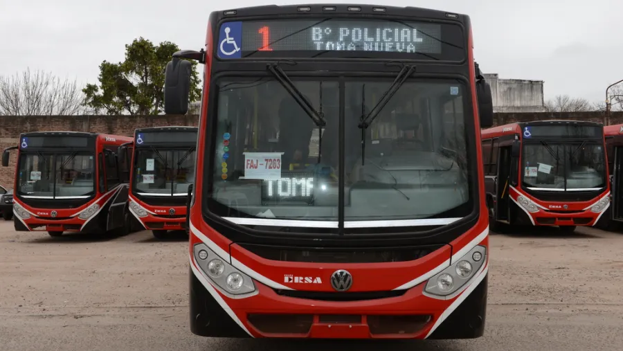 Colectivos Colectivos