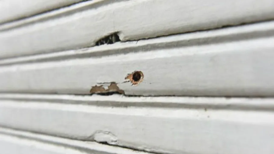 La delegación Rosario de la Secretaría de Asuntos Penitenciarios de la provincia amaneció este viernes con un impacto de bala en una de sus ventanas. La delegación Rosario de la Secretaría de Asuntos Penitenciarios de la provincia amaneció este viernes con un impacto de bala en una de sus ventanas.