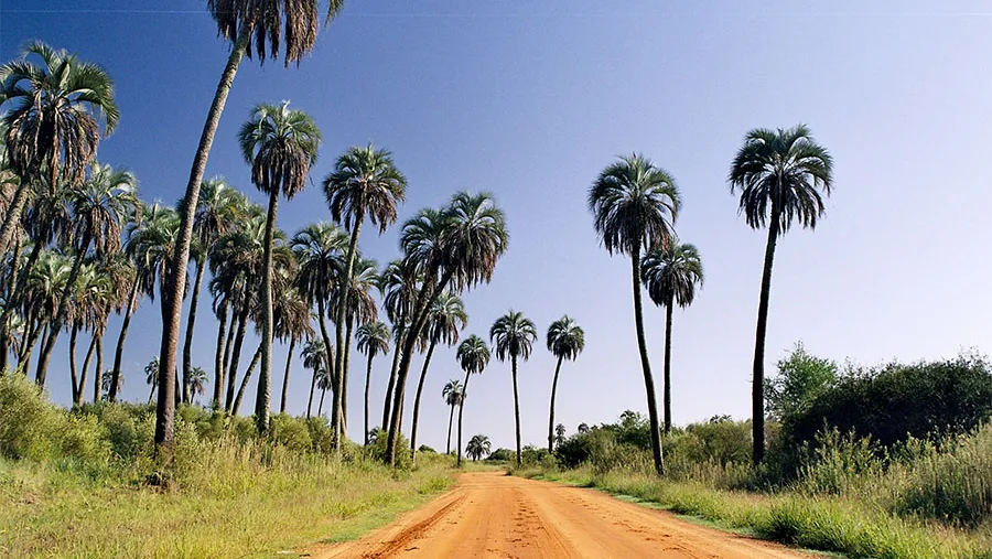 La Mancomunidad Tierras de Palmares elaborará para los próximos días un proyecto con la modalidad, protocolos y formas de control para reactivar el turismo en esa región. La Mancomunidad Tierras de Palmares elaborará para los próximos días un proyecto con la modalidad, protocolos y formas de control para reactivar el turismo en esa región.