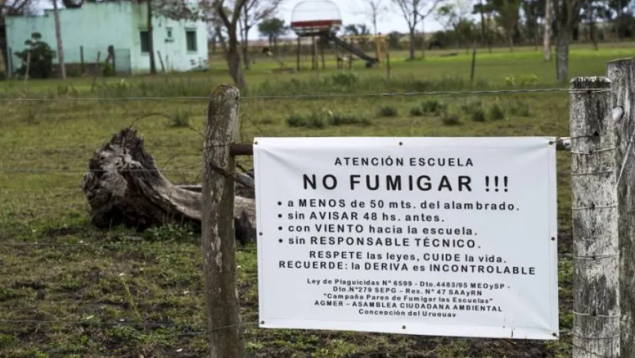fumigaciones fumigaciones