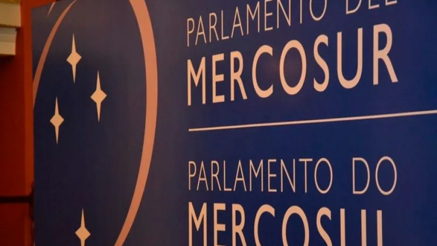 La Justicia ordenó al gobierno convocar a elecciones para elegir diputados del Parlasur La Justicia ordenó al gobierno convocar a elecciones para elegir diputados del Parlasur