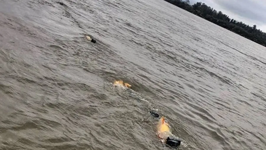 En plena veda, aparecieron mallas repletas de dorados en el río Uruguay En plena veda, aparecieron mallas repletas de dorados en el río Uruguay