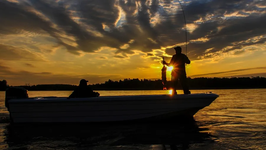 pesca pesca