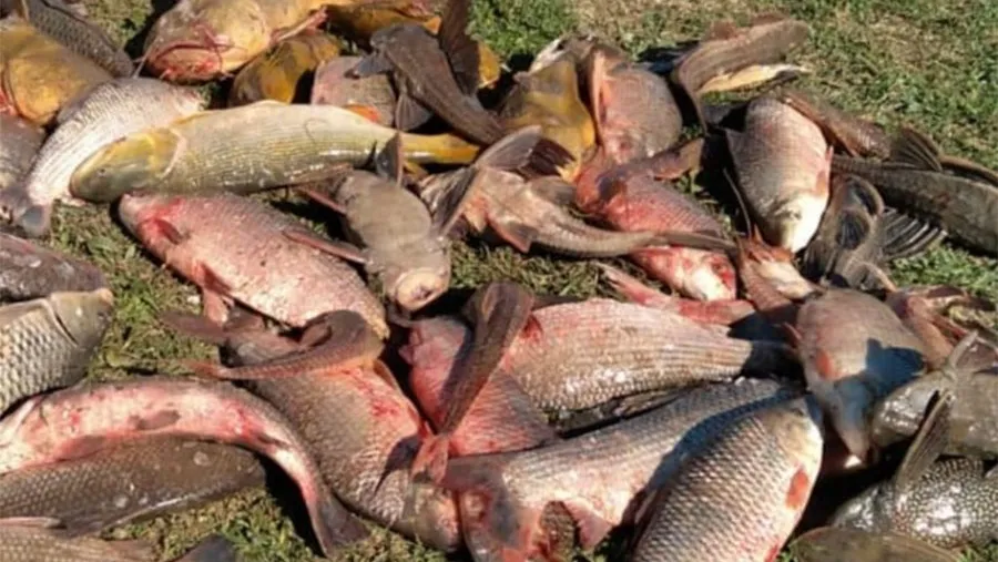 Detectan a pescadores santafesinos depredando el río Paraná. Detectan a pescadores santafesinos depredando el río Paraná.