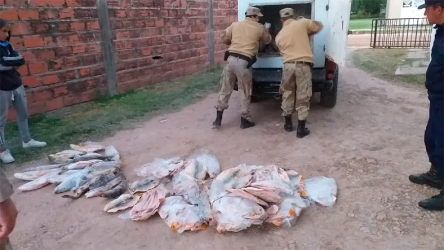 pescado incautado