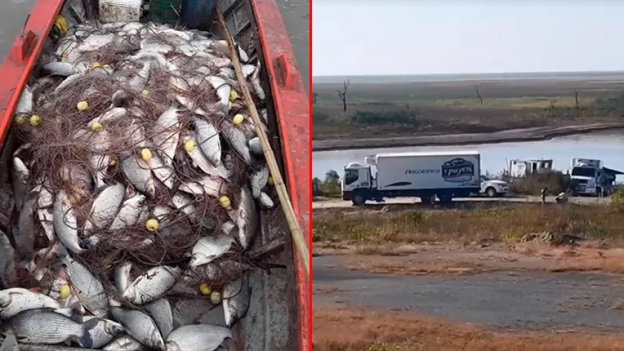 Pesca Pesca