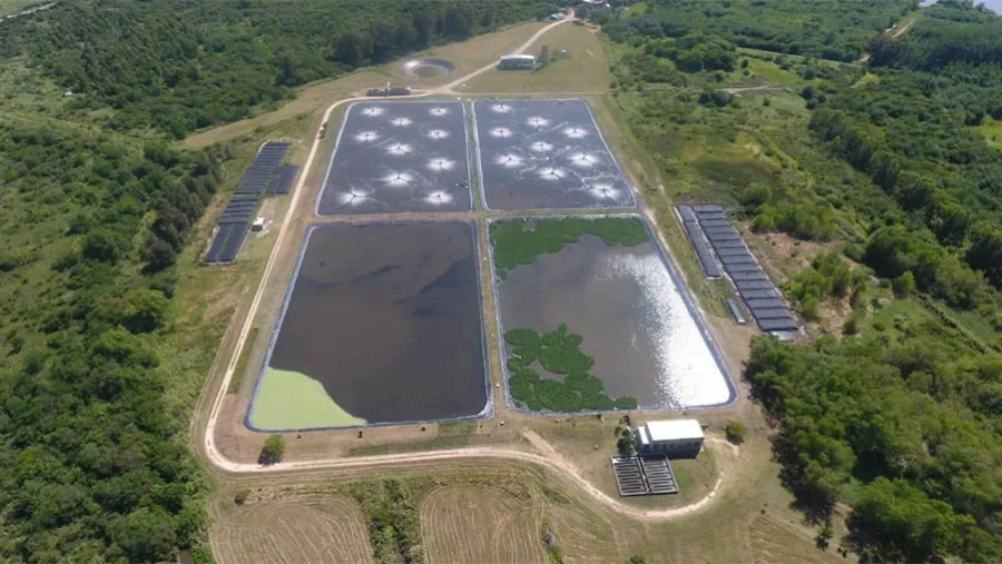 La Municipalidad de Gualeguaychú anunció que desde el viernes la planta de tratamientos de efluentes trabaja al 100 por ciento, porque se logró la extracción y secado de los barros. La Municipalidad de Gualeguaychú anunció que desde el viernes la planta de tratamientos de efluentes trabaja al 100 por ciento, porque se logró la extracción y secado de los barros.