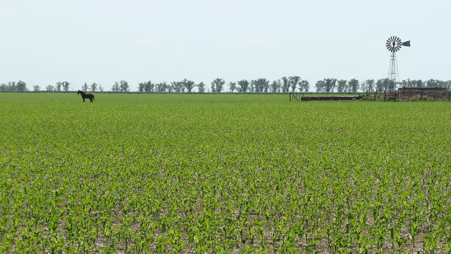 Proyecto "Buenas Prácticas Agrícolas" Proyecto "Buenas Prácticas Agrícolas"