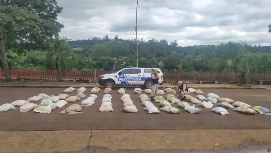 secuestro de soja y maíz secuestro de soja y maíz