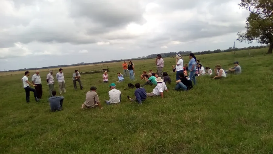 Campo Campo