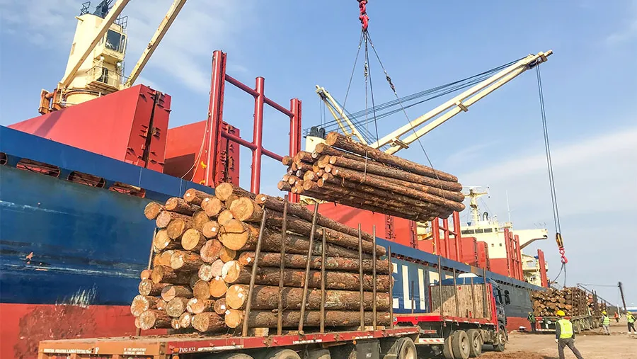 Un buque ultramarino ingresó al puerto de Concepción del Uruguay para cargar madera con destino al mercado indio. Un buque ultramarino ingresó al puerto de Concepción del Uruguay para cargar madera con destino al mercado indio.