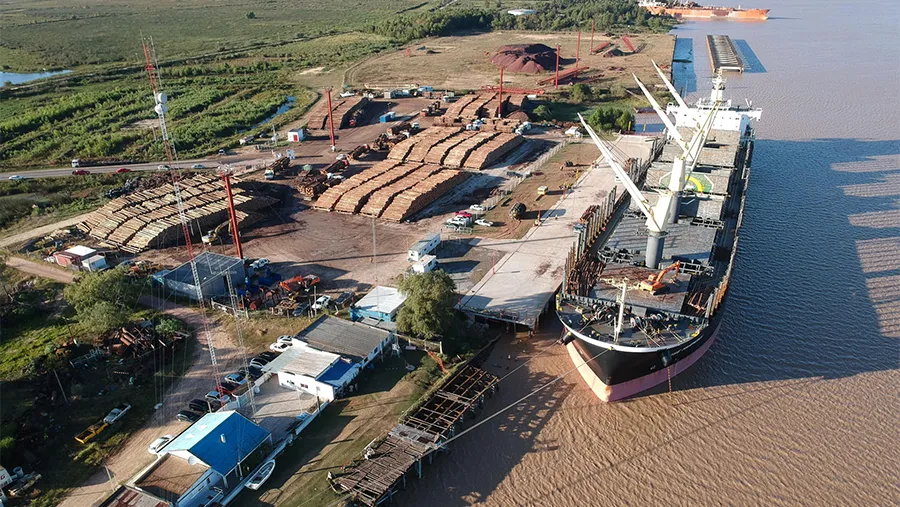 Las exportaciones entrerrianas crecieron 21 por ciento en dólares durante el año pasado, y hubo un crecimiento del 12 por ciento en volumen exportado. Se trata del mayor incremento de la última década. Las exportaciones entrerrianas crecieron 21 por ciento en dólares durante el año pasado, y hubo un crecimiento del 12 por ciento en volumen exportado. Se trata del mayor incremento de la última década.
