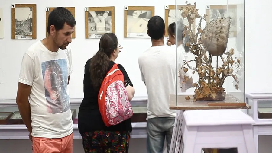 Día Internacional de los Museos Día Internacional de los Museos