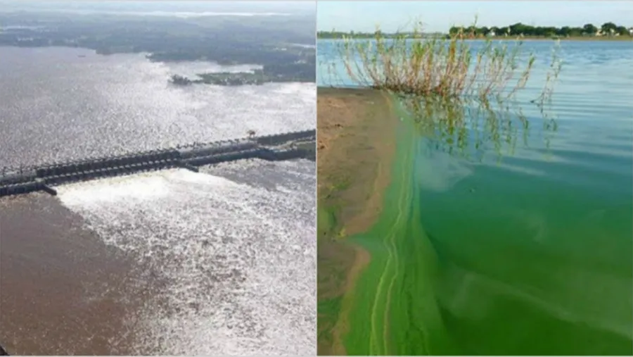 La contaminación del río Uruguay se agravará con el nuevo Digesto aprobado de manera inconsulta por la CARU. La contaminación del río Uruguay se agravará con el nuevo Digesto aprobado de manera inconsulta por la CARU.