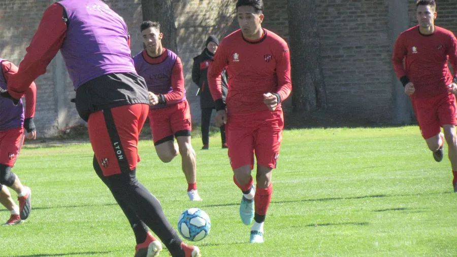 Rosales Rosales
