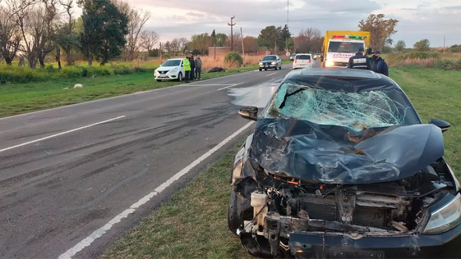 ruta 11 accidente