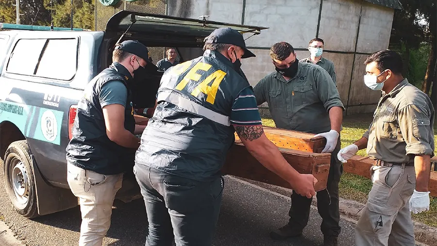 Momento en que se secuestran las cien aves en Chajarí: el procedimiento fue realizado por la Policía Federal y la Dirección General de Fiscalización de la provincia. Momento en que se secuestran las cien aves en Chajarí: el procedimiento fue realizado por la Policía Federal y la Dirección General de Fiscalización de la provincia.