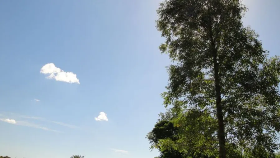 Clima Clima