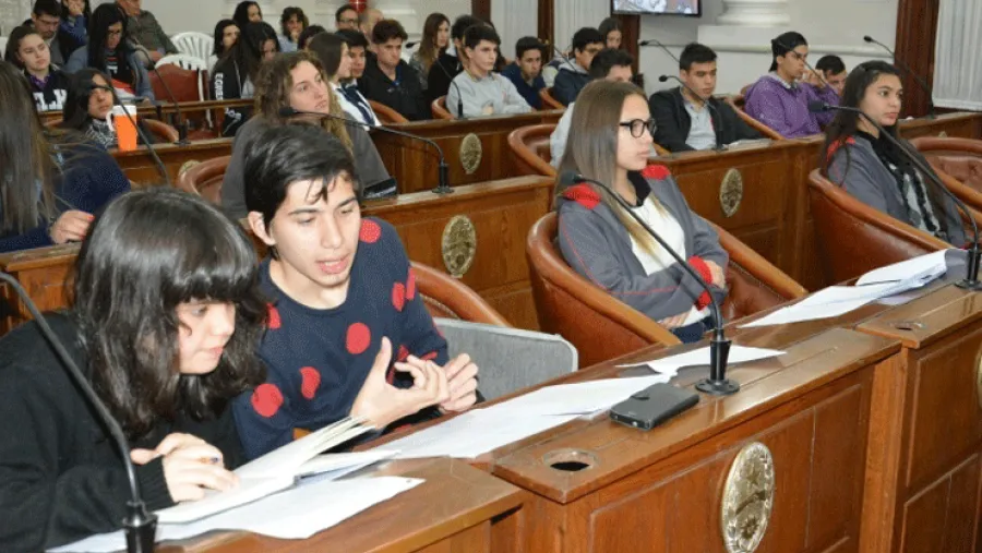 Senado Juvenil. Senado Juvenil.