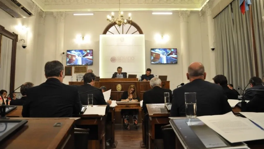 senado senado