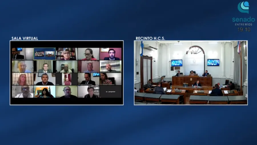La Cámara de Senadores tuvo su primera sesión virtual La Cámara de Senadores tuvo su primera sesión virtual
