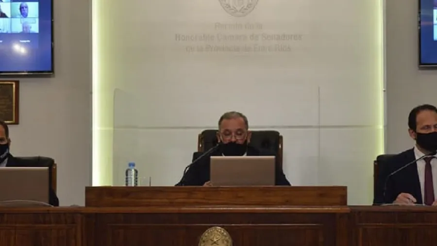Senado Senado