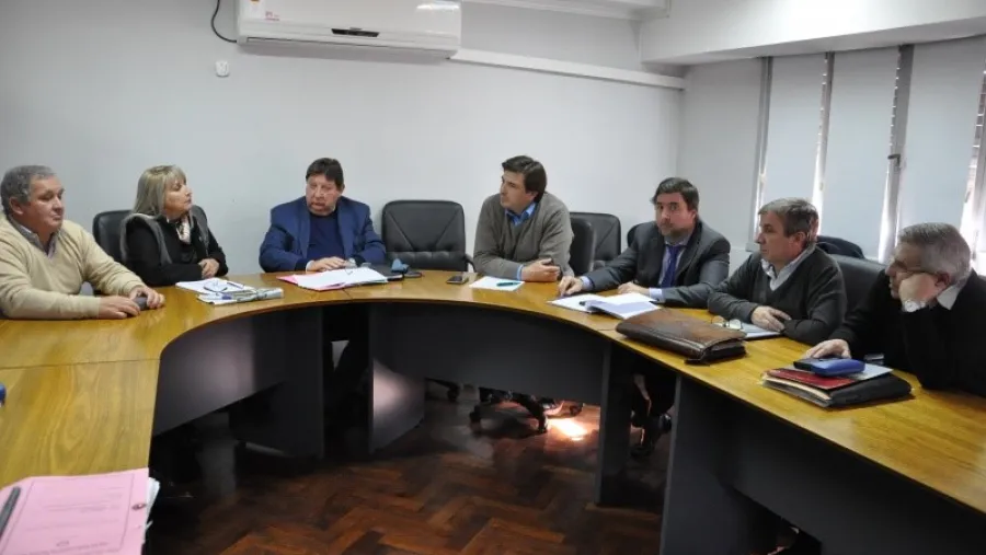 Senadores Senadores