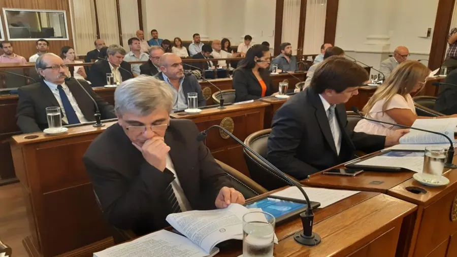 Senadores Senadores