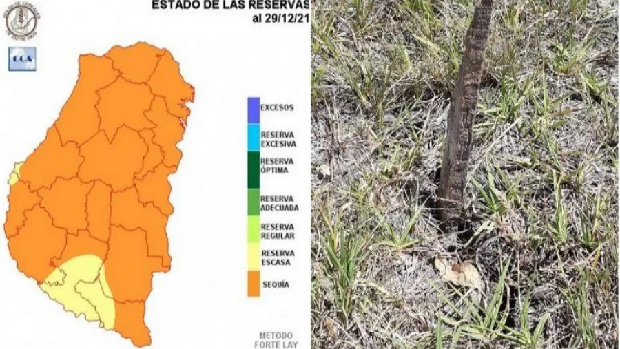Advirtieron por los registros pluviales de diciembre más bajos en 70 años en Entre Ríos Advirtieron por los registros pluviales de diciembre más bajos en 70 años en Entre Ríos