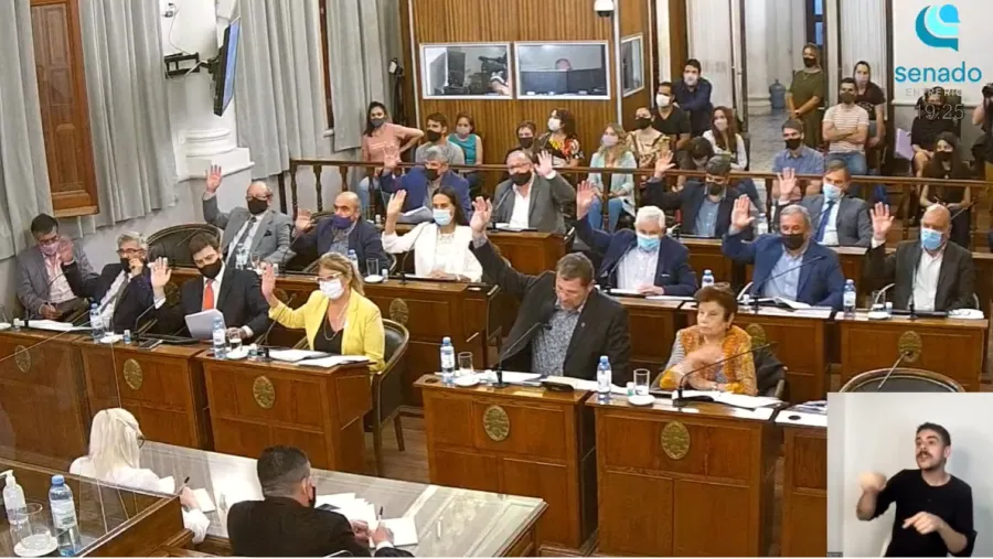 Senadores de JxC aprobaron varios proyectos en la sesión pero plantearon observaciones Senadores de JxC aprobaron varios proyectos en la sesión pero plantearon observaciones