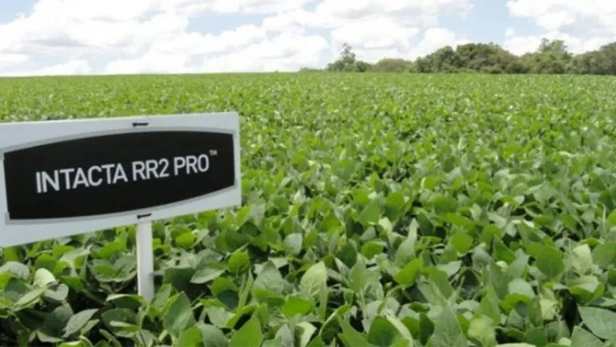 Bayer deja el negocio de semillas de soja en la Argentina. Bayer deja el negocio de semillas de soja en la Argentina.