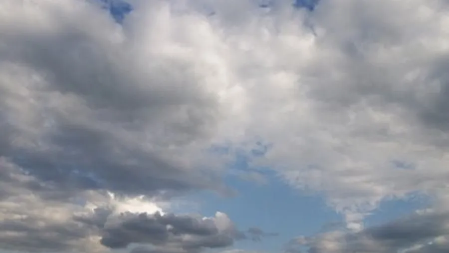 Cielo Cielo