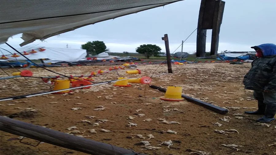 La tormenta acontecida días atrás afectó zonas productivas en los Departamentos Federación, Colón, Uruguay, Tala y Paraná. La tormenta acontecida días atrás afectó zonas productivas en los Departamentos Federación, Colón, Uruguay, Tala y Paraná.